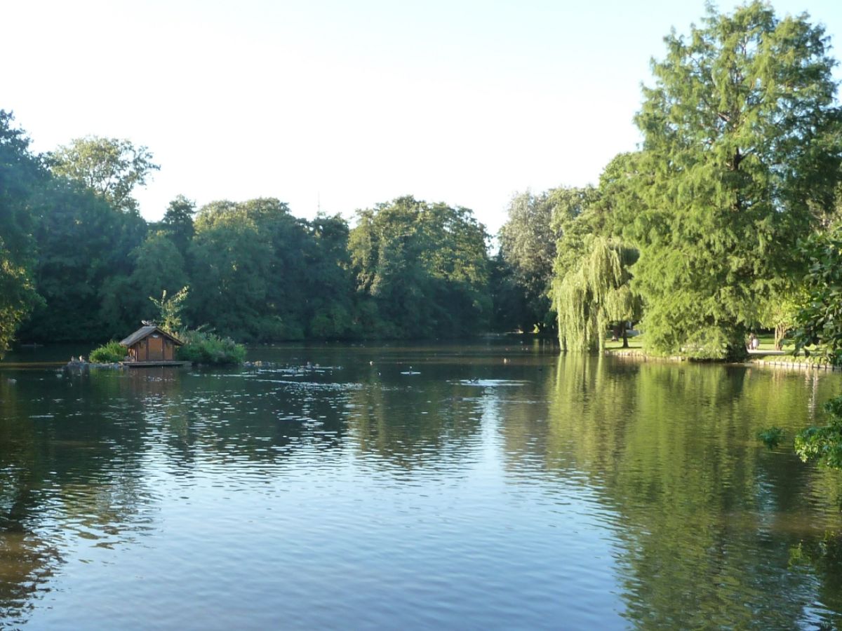 Sanierung der Teichanlage im Nells Park